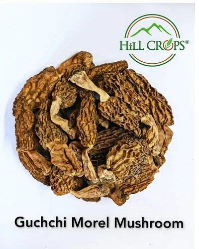 guchchi mushrooms price.